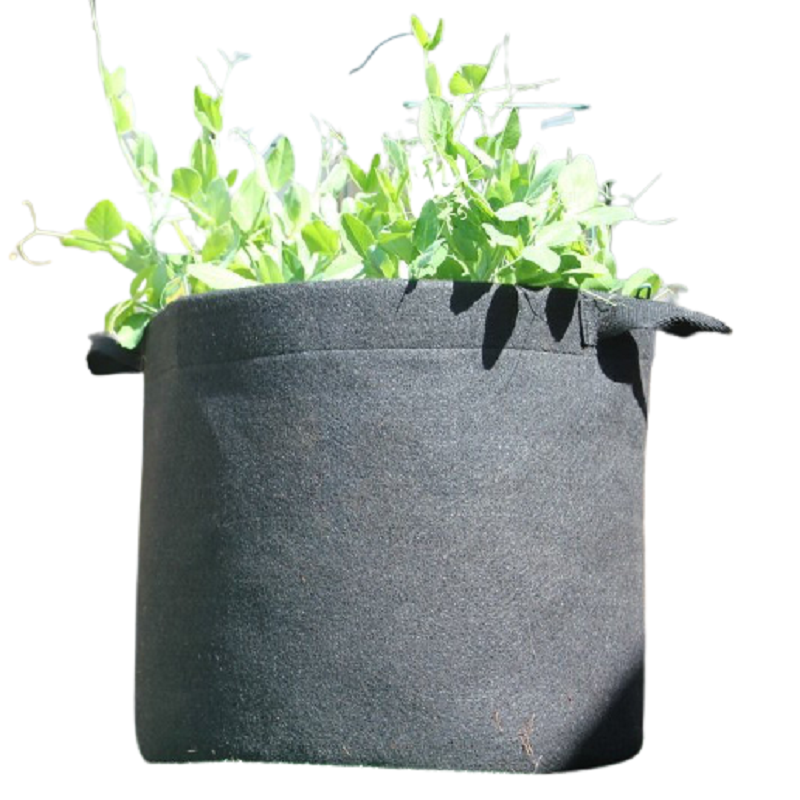Less Costly Fabric Pot in Bangladesh
