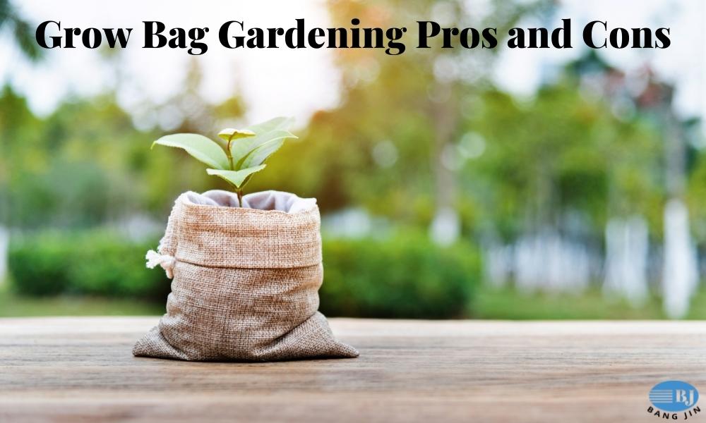 Grow Bag Gardening Pros and Cons