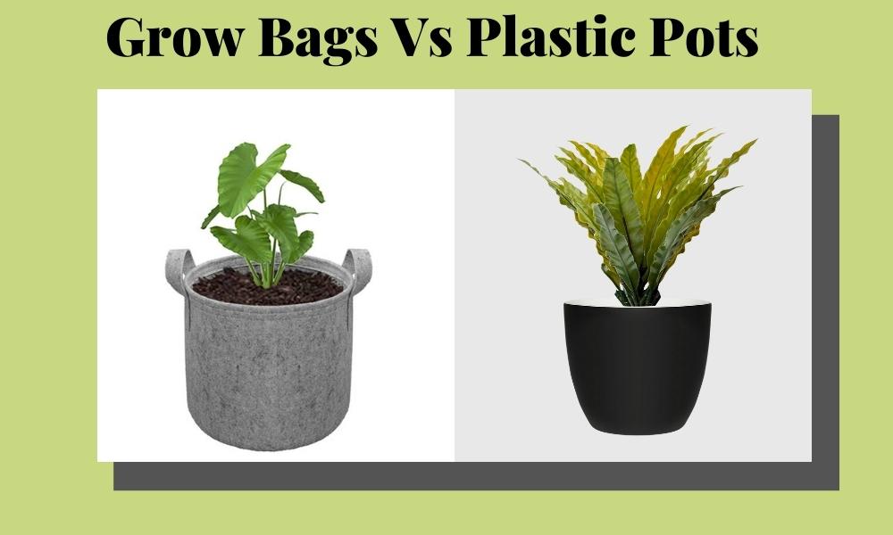 Grow Bags vs Plastic Pots: Which is Better for Your Plants?