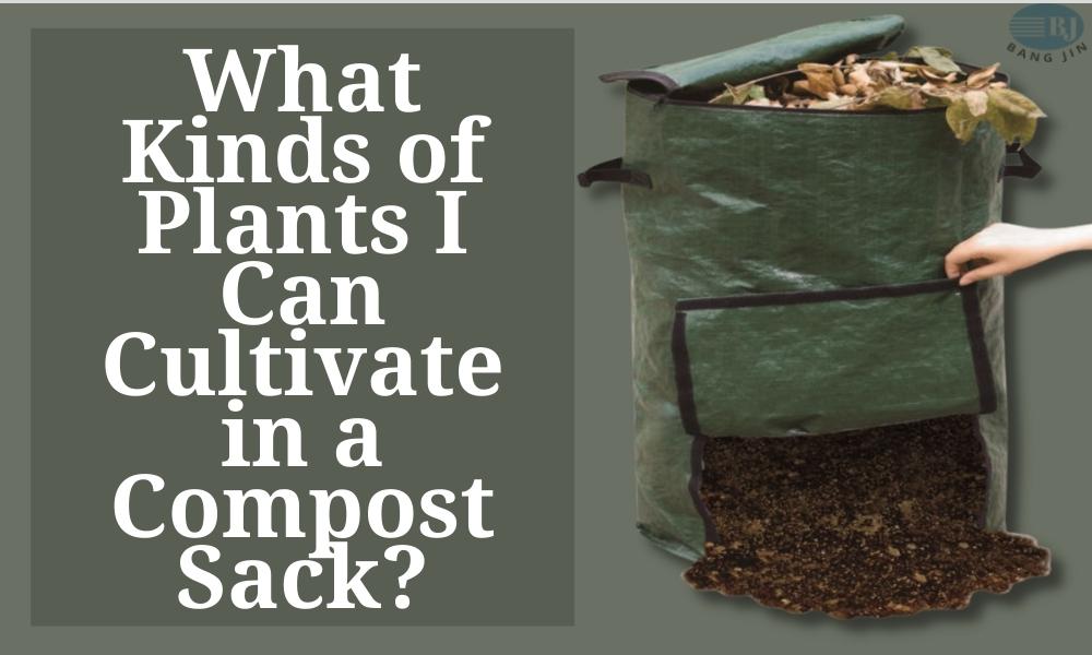 What Kinds of Plants I Can Cultivate in a Compost Sack?