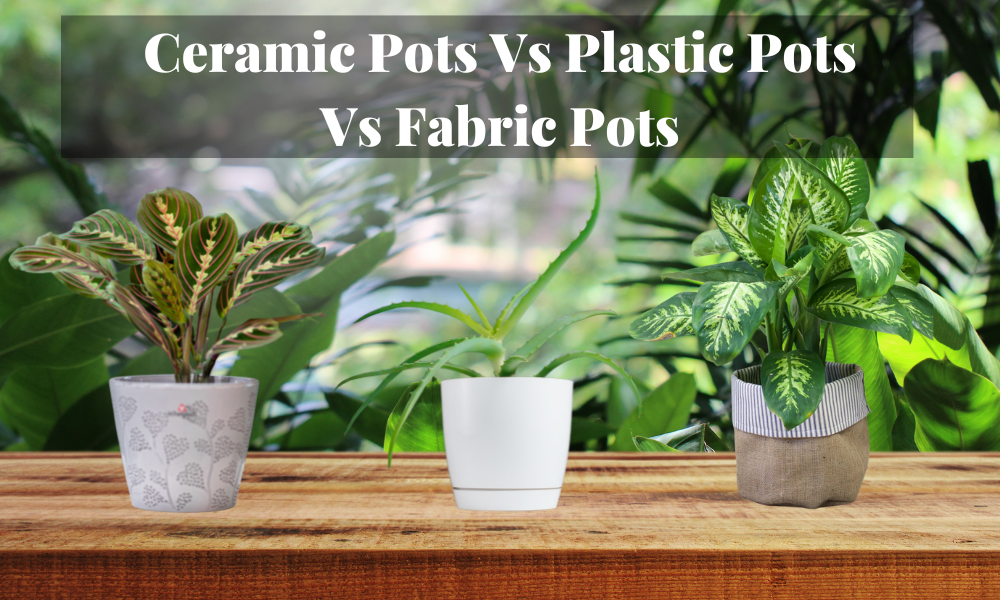 Ceramic Pots Vs Plastic Pots Vs Fabric Pots