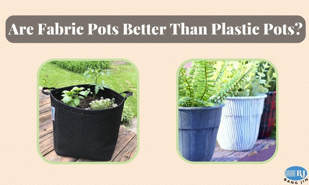 Are Fabric Pots Better Than Plastic Pots?