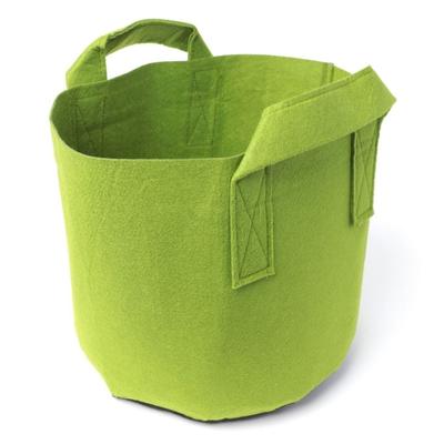 Are Fabric Pots (Grow Bags) Better than Plastic Pots?